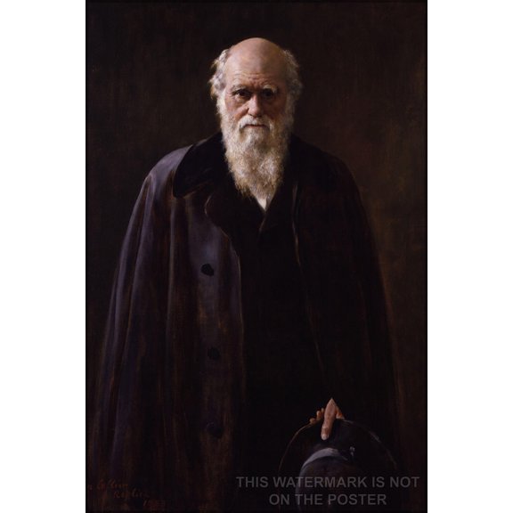 24"x36" Gallery Poster, charles darwin p2 c.1881 John Collier (1850-1934) in 1883 of his 1881 portrait of Charles Darwin - Copy