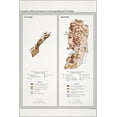 thumbnail image 1 of 24"x36" Gallery Poster, cia map of Gaza Strip & West Bank 1994, 1 of 1