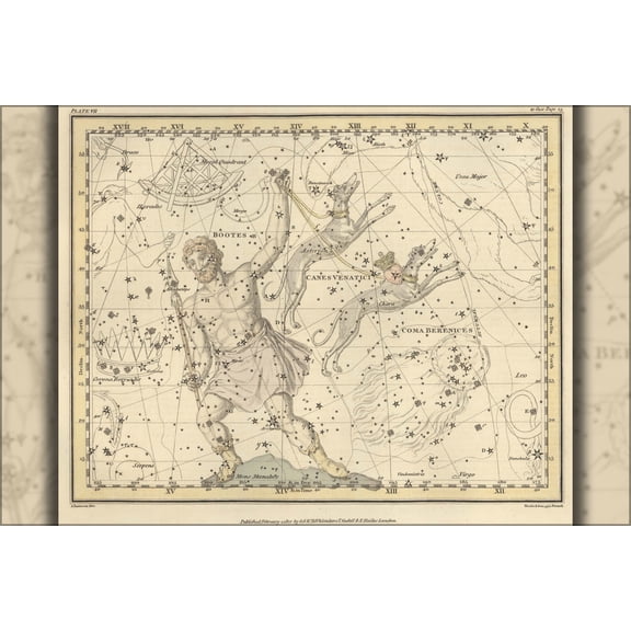24"x36" Gallery Poster, hercules constellation astronomy astrology zodiac map 1822