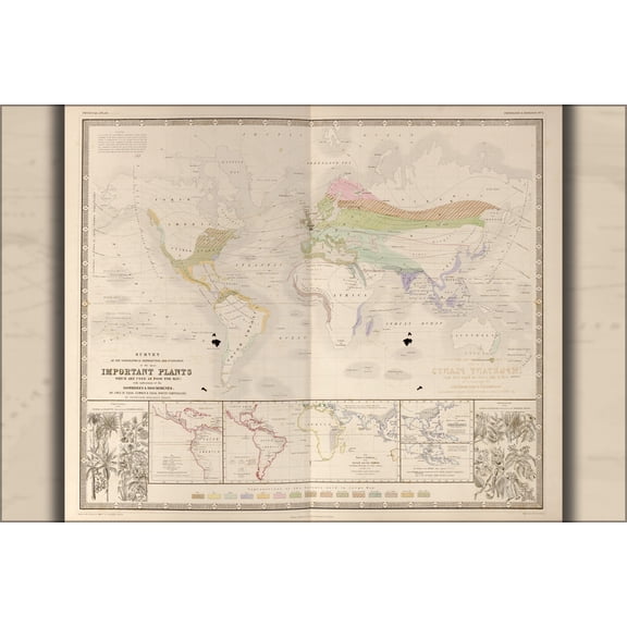 24"x36" Gallery Poster, horticulture world map of Important Plants 1848