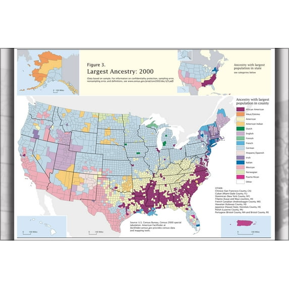 24"x36" Gallery Poster, map of ancestory in the United states of america