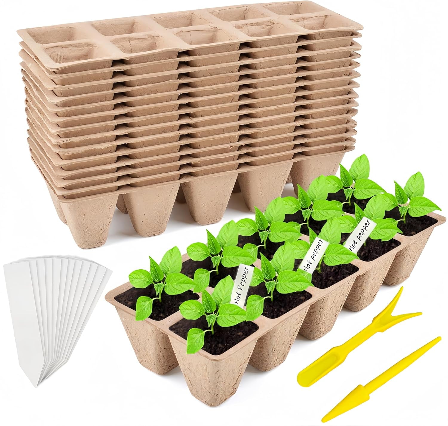 240 Cells Seed Starter Tray 24 Packs Biodegradable Peat Pots Germination Trays Organic Starting kit with Labels 2 Transplant Tools