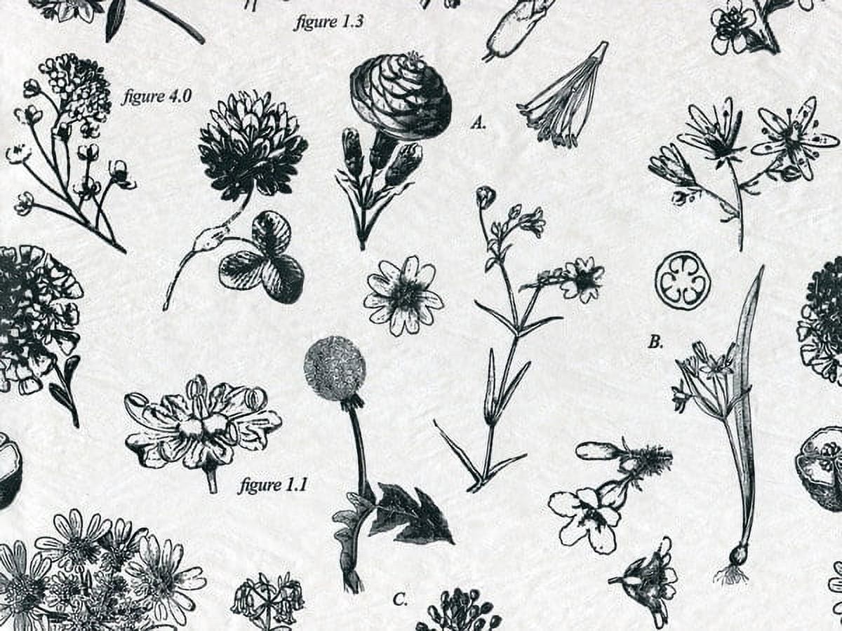 240 Pack, Botanicals Tissue Paper 20 x 30" Sheet Pack for DIY, Gift Wrapping, Birthday Parties and Events, Made In USA