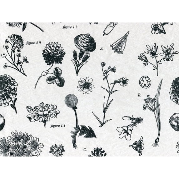 240 Pack, Botanicals Tissue Paper 20 x 30" Sheet Pack for DIY, Gift Wrapping, Birthday Parties and Events, Made In USA