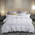 thumbnail image 1 of 240 Thread Count White Feather and Down Comforter, 1 of 4