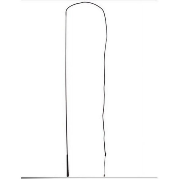 241630-983601 72 in. Lunge Whip with Popper
