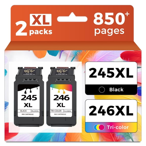 245XL 246XL Combo Pack Replacement for Ink 245 246 XL PG245 CL246 PG245XL CL246XL to MX490 MG2522 MX492 TR4520 TR4500 MG2520 TS3300 TS3322 MG2525 TR4522 TS3100 TS3122 TS3320 (Black Color 2-Pack)