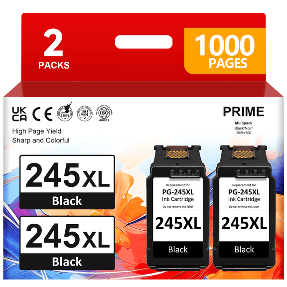 245XL Ink Cartridge for Canon 245 Black Ink for Pixma TR4520 MX490 492 Ip2820 TS202 302 3327 MG2420 2520 2555 3020 ( 2 Black)