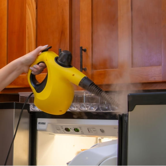 2460111 505e Handheld Steam Cleaner, Multi-purpose Steamer, 11 Attachments, Chemical-Free Cleaning, Pet and Kid Safe