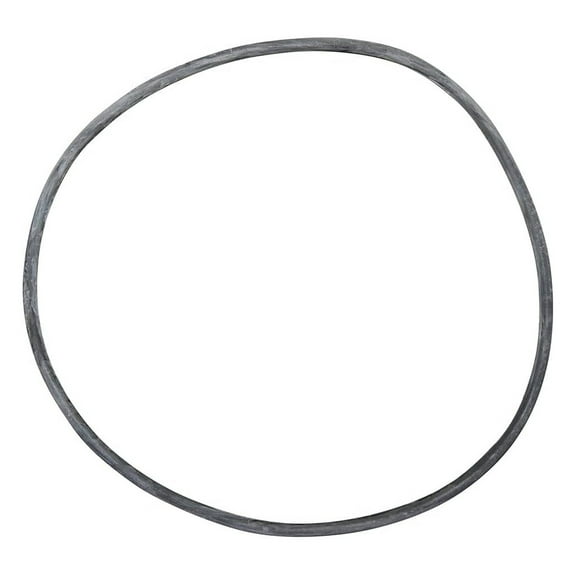 24850-0008 21-Inch Cord O-Ring for Replacement for Select Sta-Rite Pool and Spa Filters