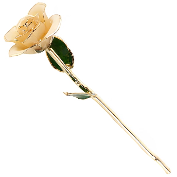 24K Gold Dipped Rose, Lasting Rose, Valentine's Day, Christmas, Mother's Day Present, Unique Handmade Rose with Custom Present Box