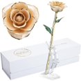 24K Gold Dipped Rose, Gold Dipped Rose Made from Real Rose Best Gifts