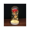 thumbnail image 1 of 24K Gold Foil Rose Flower LED Luminous Galaxy Mother's Day Valentine's Day Gift, 1 of 8
