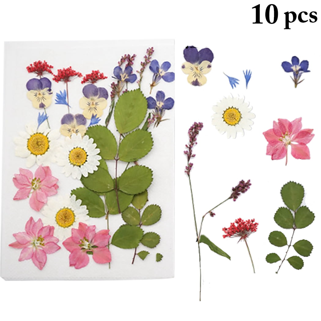 18PCS Dry Flower Kit Natural DIY Pressed Flowers DIY Dried Flowers for Craft
