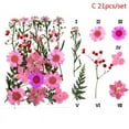 thumbnail image 1 of 24PCS Pressed Flower Mixed Dried Flowers DIY Art Floral Decors Collection Gift, 1 of 7