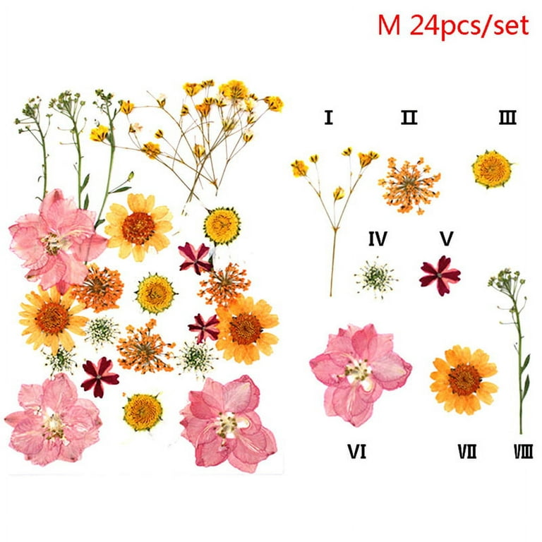 Pressed Flowers Yellow Pressed Flowers100 PCS Set Yellow Red 