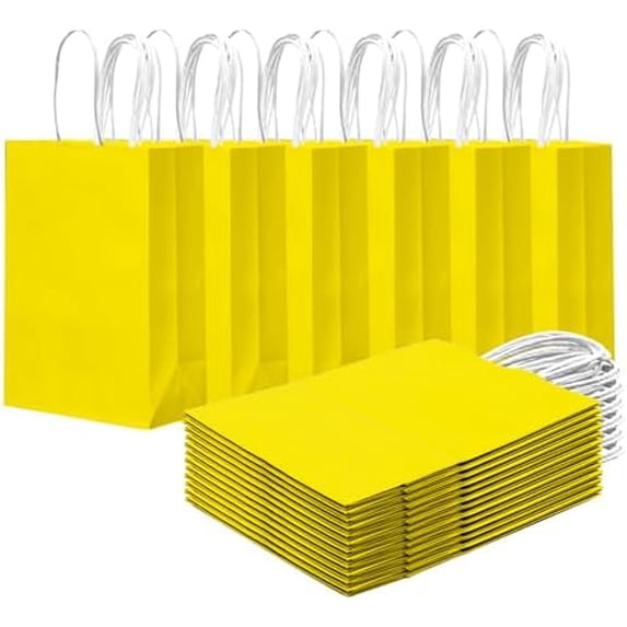 24PCS Small Gift Bag with Handles Bulk 8.3