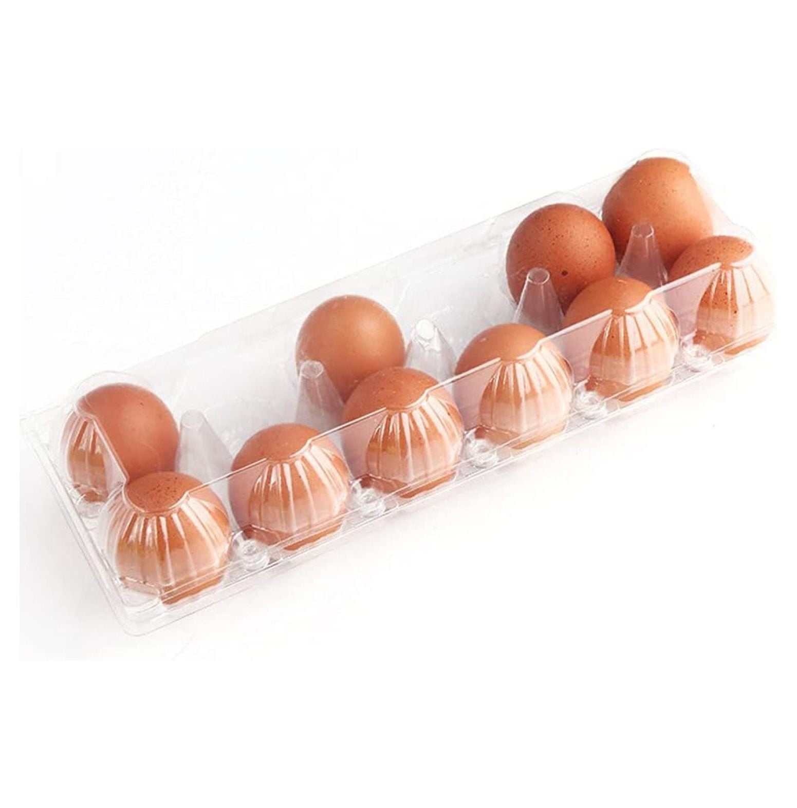 24Pack Clear Plastic Disposable Egg Tray Carton Holder for Family