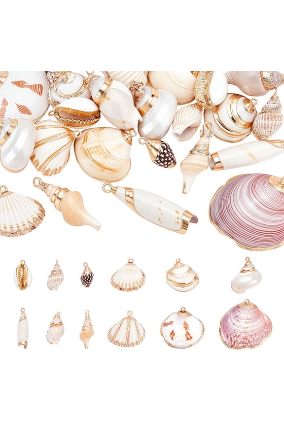 24Pcs 12 Style Natural Shell Charms Assorted Beach Seashell Conch Cowrie Shells Charm Pendants Summer Ocean Pendant Charms