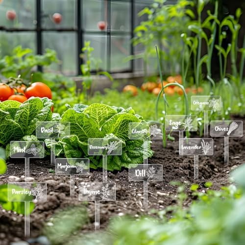 24Pcs Acrylic Plant Label Signs 12 Styles Spring Summer Garden Herb ...