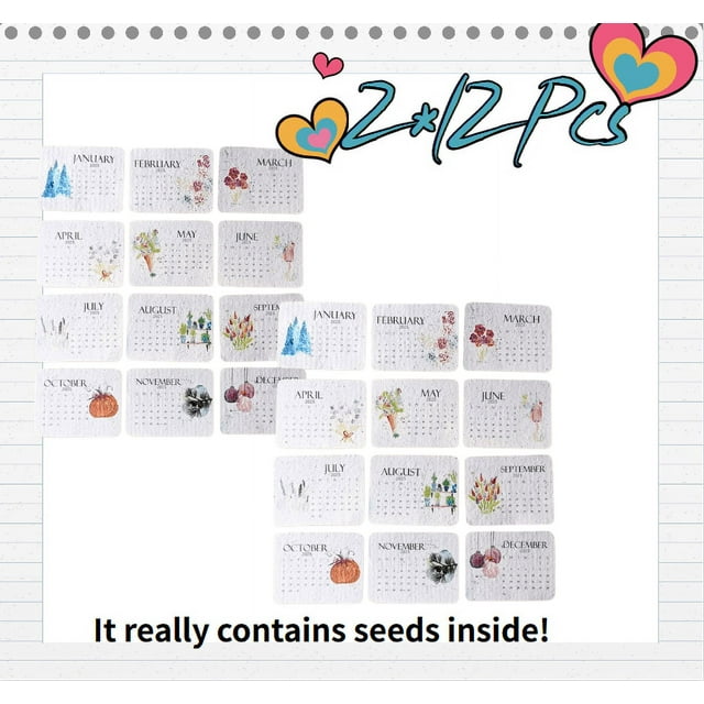 24Pcs Plantable Seed Calendar 2025, Funny Plantable Seed Advent