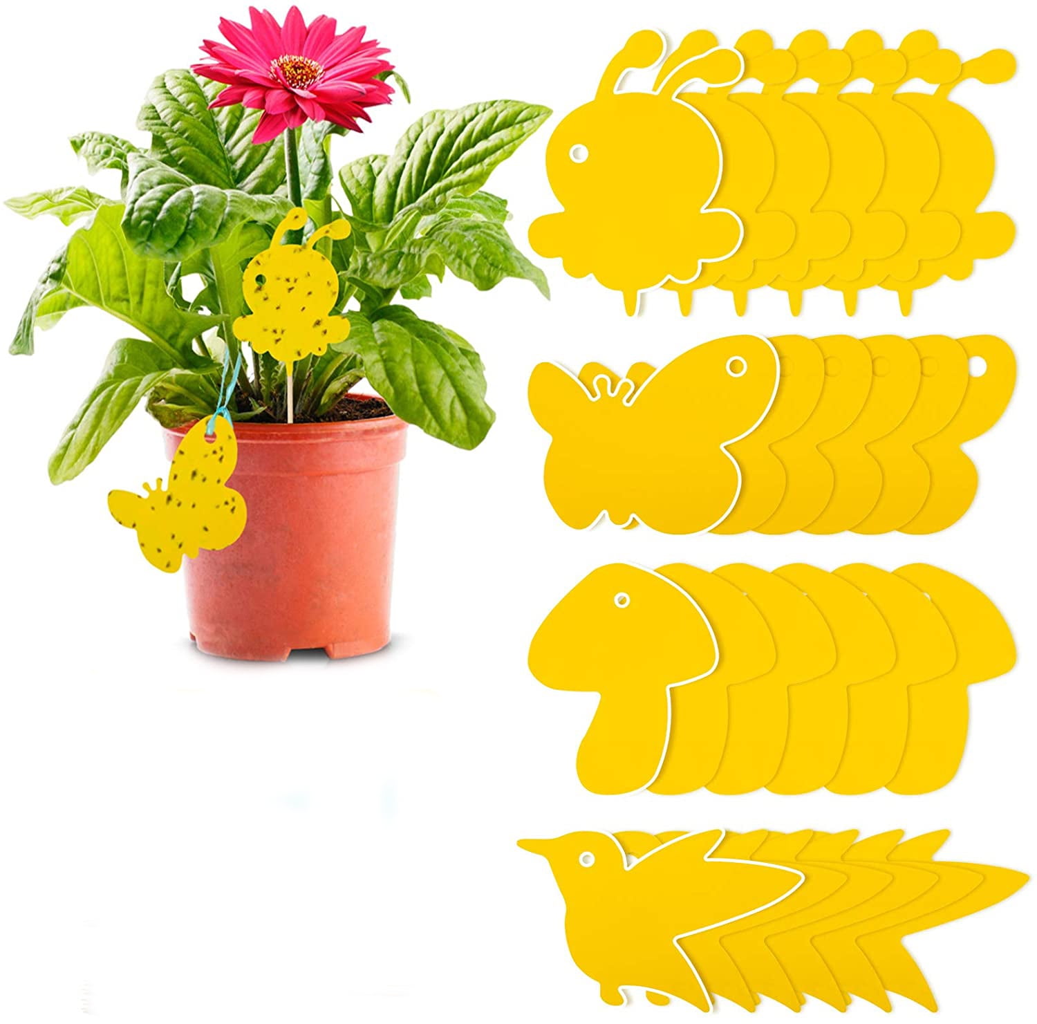 https://i5.walmartimages.com/seo/24Pcs-Yellow-Stick-Fly-Catcher-Boards-Fungus-Gnats-Fight-Indoor-Plants-Potted-Stick-Waterproof-Trap-Mosquito-Sticky-Fruit-Flies-Mosquitoes-Aphids-Nem_487e9f07-a16e-426f-b222-5b7a01c6e806.01f8e1628f4b39ba28b6a651c5b8d931.jpeg
