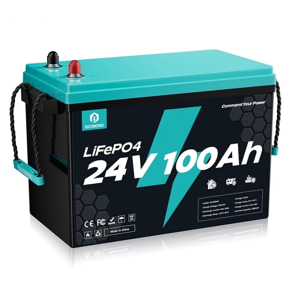 24V 100Ah LiFePO4 Battery, 2560Wh Deep Cycle Lithium Battery, 100A BMS, 15000+ Cycles, Low-Temp Cutoff Protection, Lithium Battery for Solar, RV, Backup Power, Off Grid