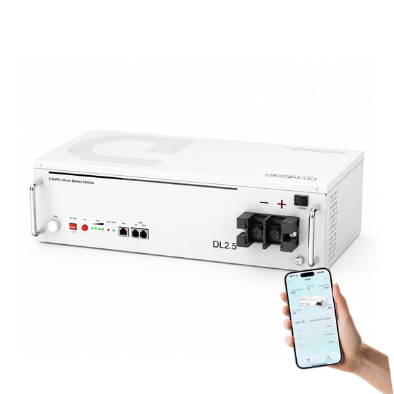 Dyness 24V 100Ah WiFi LiFePO4 Battery,100A BMS, 3328W Power. 2.56~40.96kWh Capacity.Low-Temp Cutoff, 6000+ Deep Cycles for RVs & Off-Grid Solar Systems