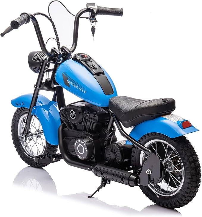 24V 250W Kids Electric Dirt Bike - Electric Motorcycle with 2 Speed Up to 14 MPH, 60 Min Ride Time, LED Light, Off-Road Dirt Bike for Boys & Girls Ages 6-12