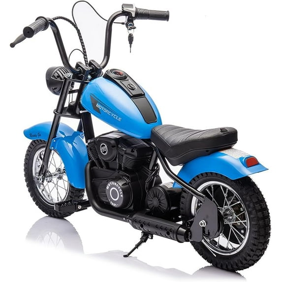 24V 250W Kids Electric Dirt Bike - Electric Motorcycle with 2 Speed Up to 14 MPH, 60 Min Ride Time, LED Light, Off-Road Dirt Bike for Boys & Girls Ages 6-12