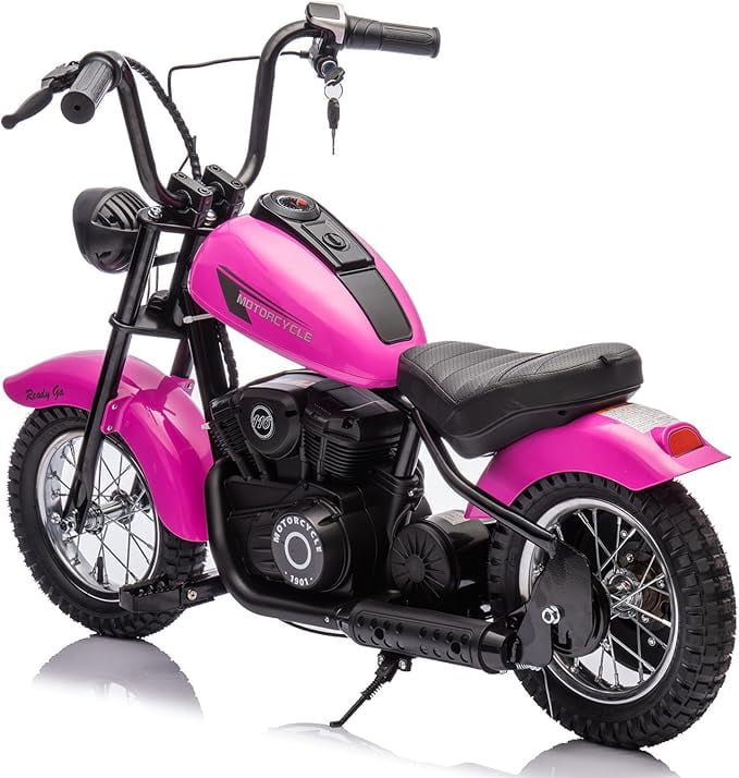 24V 250W Kids Electric Dirt Bike - Electric Motorcycle with 2 Speed Up to 14 MPH, 60 Min Ride Time, LED Light, Off-Road Dirt Bike for Boys & Girls Ages 6-12