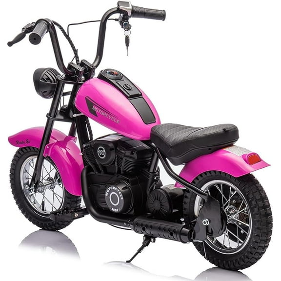 24V 250W Kids Electric Dirt Bike - Electric Motorcycle with 2 Speed Up to 14 MPH, 60 Min Ride Time, LED Light, Off-Road Dirt Bike for Boys & Girls Ages 6-12