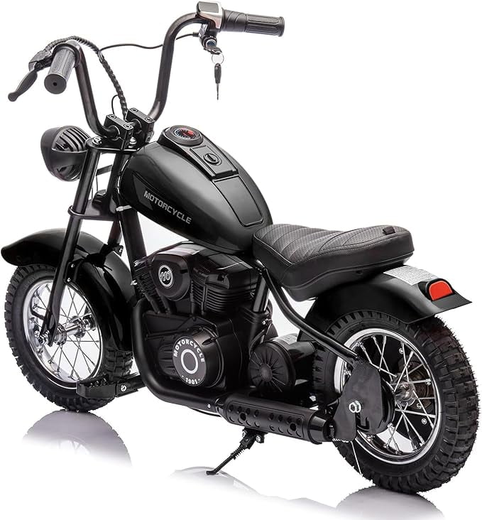 24V 250W Kids Electric Dirt Bike - Electric Motorcycle with 2 Speed Up to 14 MPH, 60 Min Ride Time, LED Light, Off-Road Dirt Bike for Boys & Girls Ages 6-12