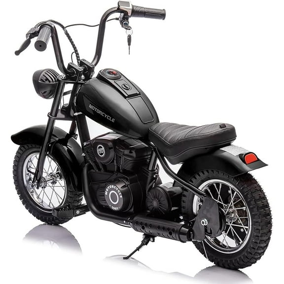 24V 250W Kids Electric Dirt Bike - Electric Motorcycle with 2 Speed Up to 14 MPH, 60 Min Ride Time, LED Light, Off-Road Dirt Bike for Boys & Girls Ages 6-12