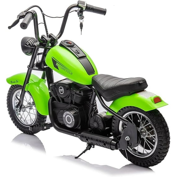 24V 250W Kids Electric Dirt Bike - Electric Motorcycle with 2 Speed Up to 14 MPH, 60 Min Ride Time, LED Light, Off-Road Dirt Bike for Boys & Girls Ages 6-12