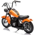 thumbnail image 1 of 24V 250W Kids Electric Dirt Bike - Electric Motorcycle with 2 Speed Up to 14 MPH, 60 Min Ride Time, LED Light, Off-Road Dirt Bike for Boys & Girls Ages 6-12, 1 of 8