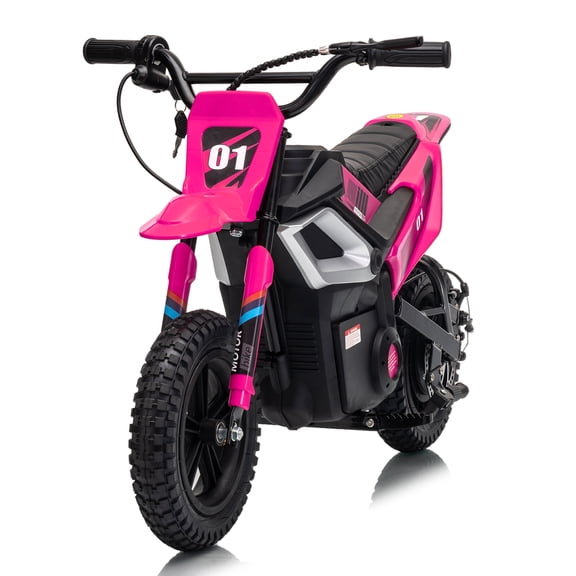 24V 350W Electric Dirt Bike for Teens, 12" Fat Tire Off-Road Motorcycle w/Hydraulic Brakes, 35-Mile Range, 130lbs Load