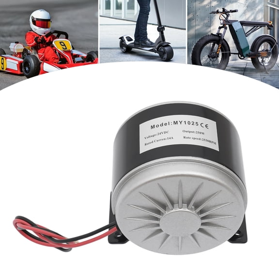 24V DC 250W Brush Motor for Electric Scooter, Mini Bike, Go-Kart