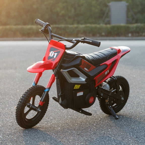24V Electric Dirt Bike for Kids, 250W Chain Drive Motor, Magnesium Alloy Wheels, Pneumatic Tires, Key Start, Rear Shock, Disc Brake