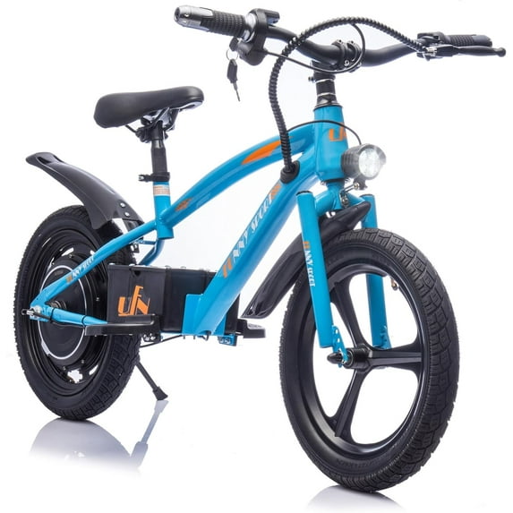 24V Kids Electric Dirt Bike, 300W Super Power Motor, 12.43 MPH Max Speed, 16" Pneumatic Tires, Adjustable Seat, Power Display, Powered Ride On Motorcycle for Boys Girls Ages 5-12 Years Old (Blue)