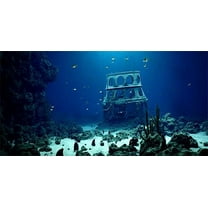 24X12IN Natural Undersea Aquarium Background, Undersea Beach Fish Tank Background, with 8 EVA Double-Sided Tape