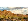 thumbnail image 1 of 24X12IN, Reptile Habitat Background, Orange Mountain Sky Oasis Cactus Terrarium Background with 8 EVA Double-Sided Tape, 1 of 4