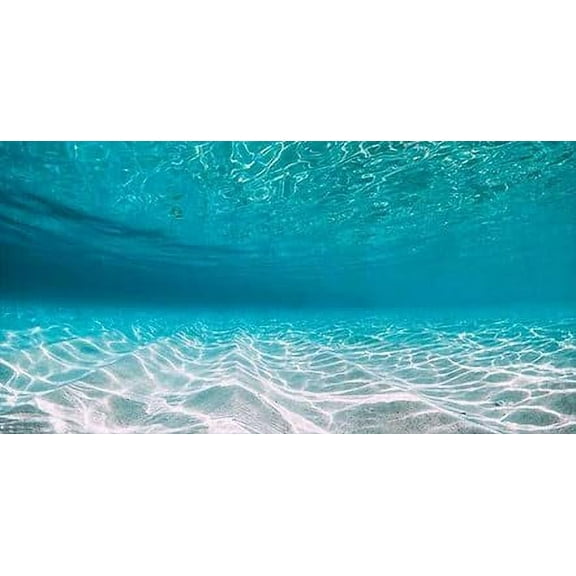 24X16IN, Natural Undersea Aquarium Background, Undersea Beach Fish Tank Background, with 8 EVA Double-Sided Tape