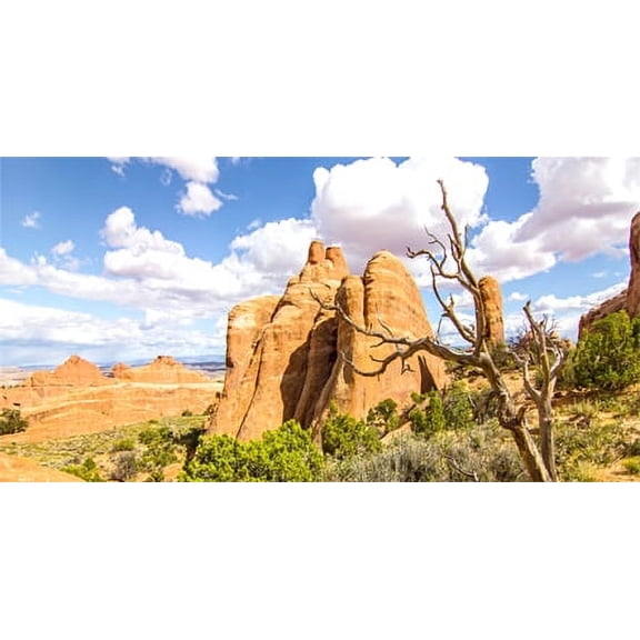 24X16IN, Reptile Habitat Background, Orange Desert Terrarium Background, Blue Sky Oasis Cactus Background with 8 EVA Double-Sided Tape