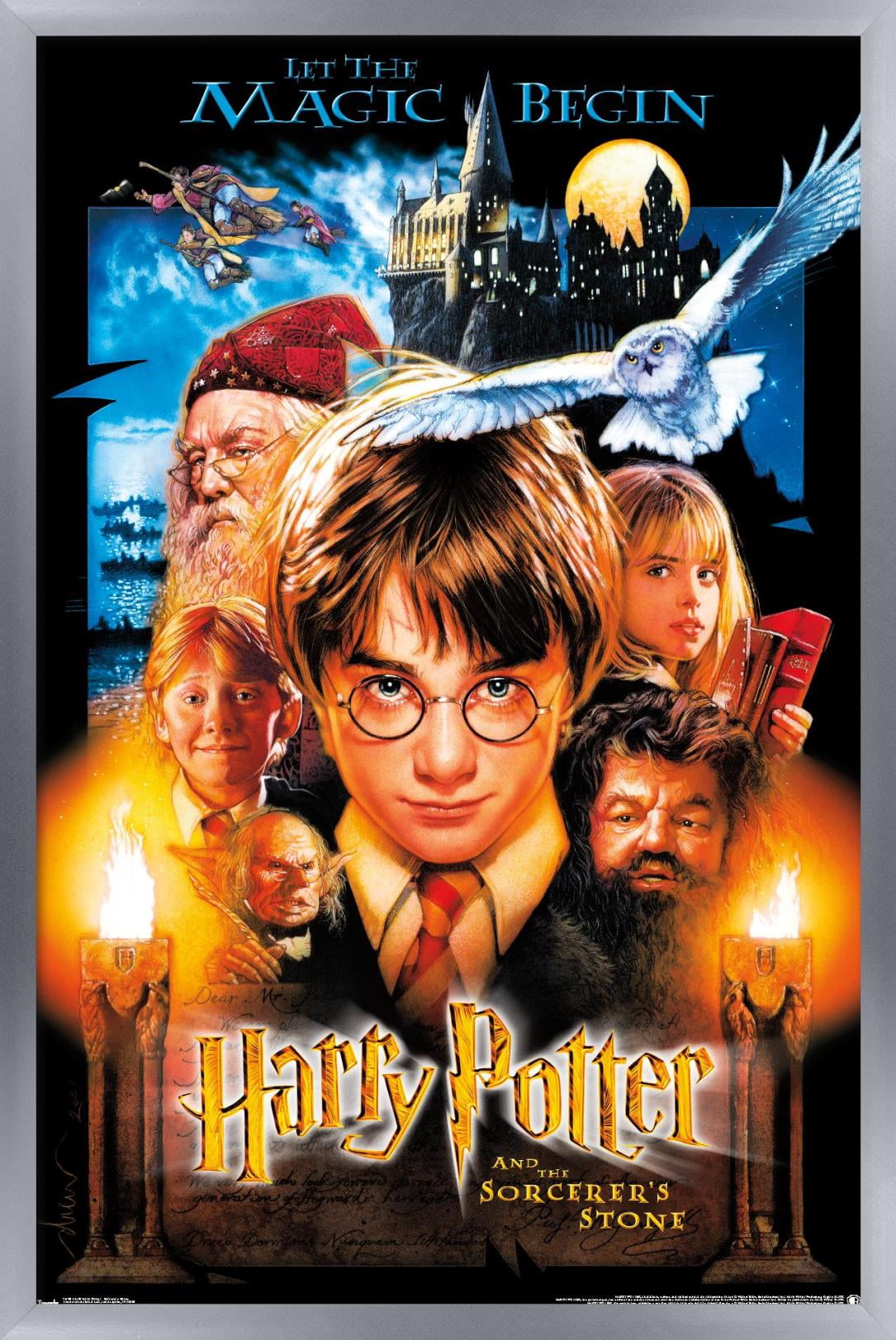 SD Toys Harry Potter Sorcerers Stone Movie Poster Puzzle 1000