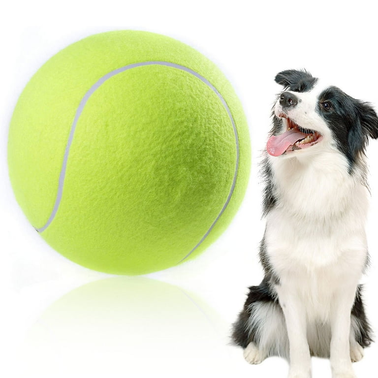 Rubber Dog Ball with Hard Tennis Ball