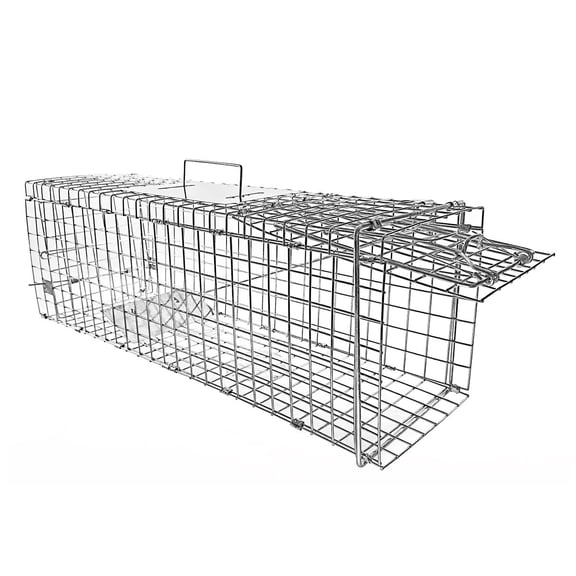 24in Collapsible Single-Door Animal Trap