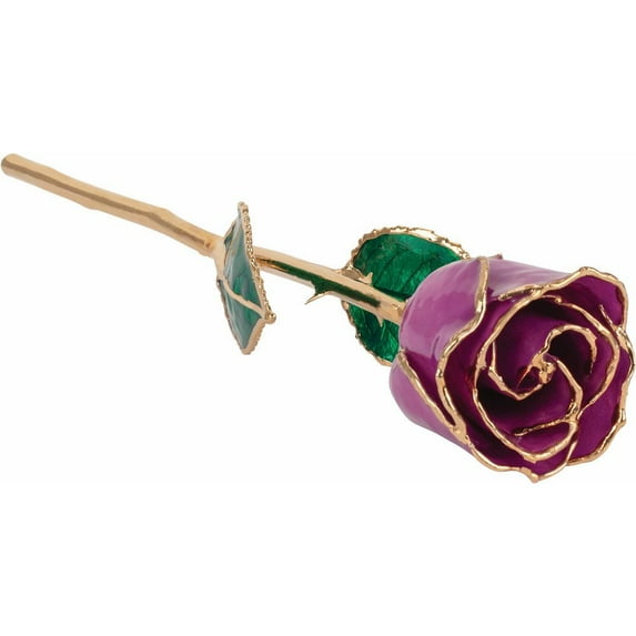 24k Gold Dipped Amethyst Colored Lacquer Real Rose Valentine's Day Holiday Gift