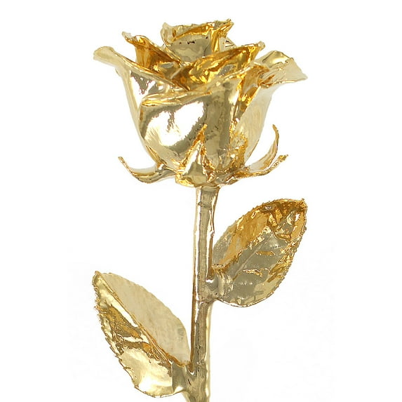 24k Gold Dipped Rose