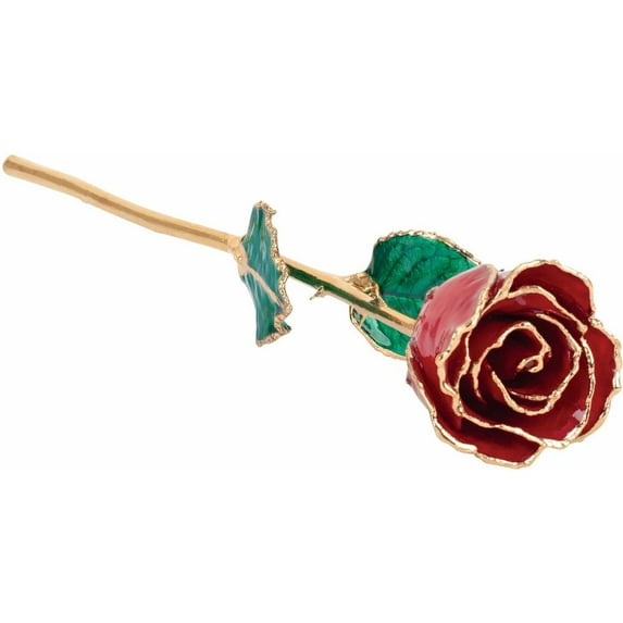 24k Gold Dipped Ruby Colored Lacquer Real Rose Valentine's Day Holiday Gift